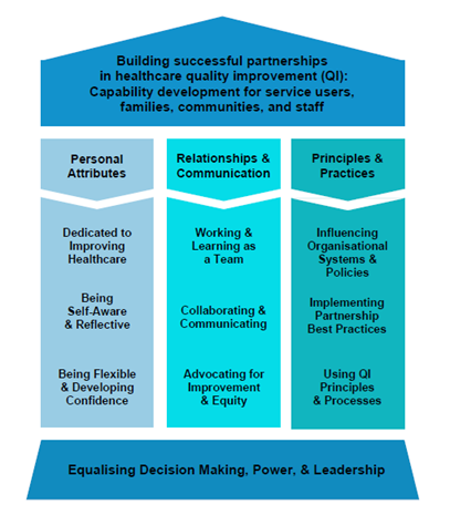 Learning and development needs for partnering in quality improvement